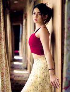 escort service in Pathankot
